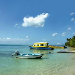Südliche Karibik mit Tobago mit Mein Schiff 3